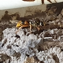 Unverified at suppressed - suppressed