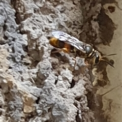 Unverified at suppressed - suppressed