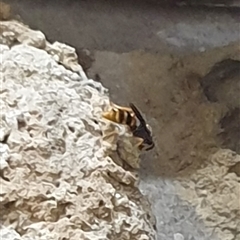 Unverified at suppressed - suppressed