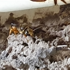 Unverified at suppressed - suppressed