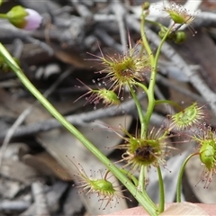 Unverified at suppressed - suppressed