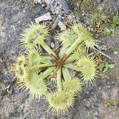 Unverified at suppressed - suppressed