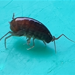 Unverified at suppressed - suppressed