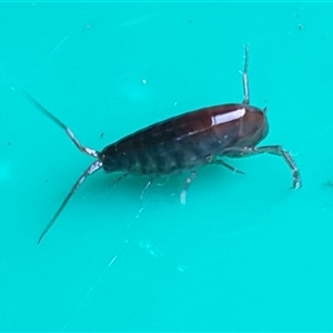 Unverified at suppressed - suppressed