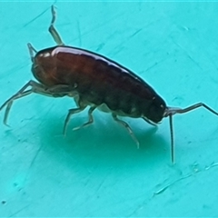 Unverified at suppressed - suppressed