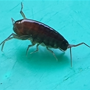 Unverified at suppressed - suppressed