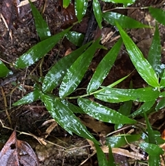 Unverified at suppressed - suppressed