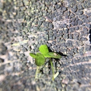 Unverified at suppressed - suppressed