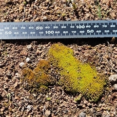 Unverified at suppressed - suppressed