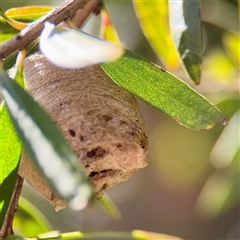 Unverified at suppressed - suppressed