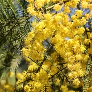 Unverified at suppressed - suppressed