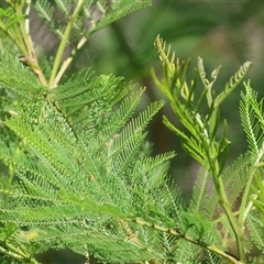 Unverified at suppressed - suppressed