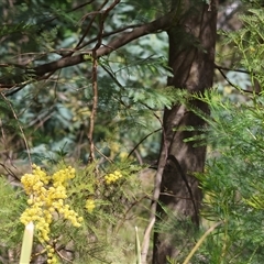 Unverified at suppressed - suppressed