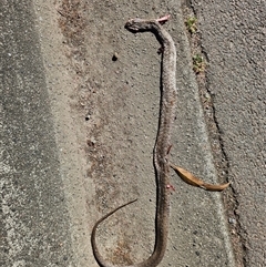 Unverified at suppressed - suppressed