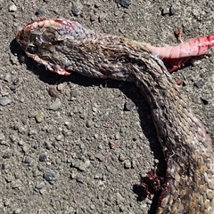 Unverified at suppressed - suppressed