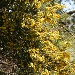 Unverified at suppressed - suppressed