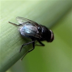 Unverified at suppressed - suppressed