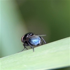 Unverified at suppressed - suppressed