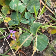 Unverified at suppressed - suppressed