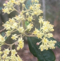 Unverified at suppressed - suppressed