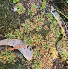 Unverified at suppressed - suppressed