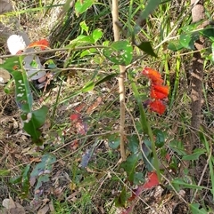 Unverified at suppressed - suppressed