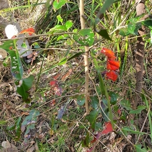 Unverified at suppressed - suppressed