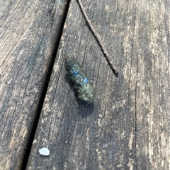 Unverified at suppressed - suppressed