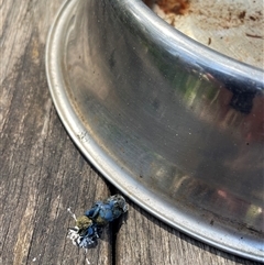 Unverified at suppressed - suppressed