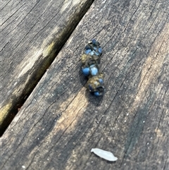 Unverified at suppressed - suppressed