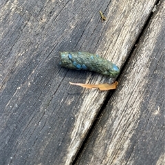 Unverified at suppressed - suppressed