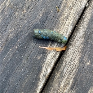 Unverified at suppressed - suppressed