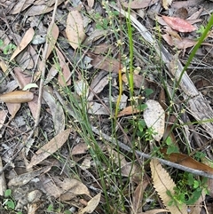 Unverified at suppressed - suppressed