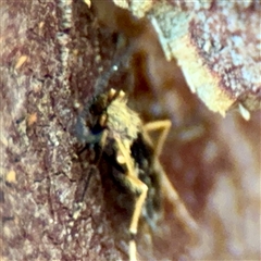 Unverified at suppressed - suppressed