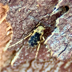 Unverified at suppressed - suppressed