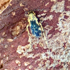 Unverified at suppressed - suppressed