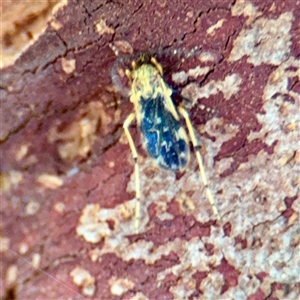 Unverified at suppressed - suppressed