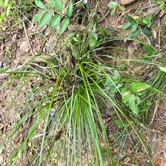 Unverified at suppressed - suppressed