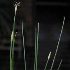 Unverified at suppressed - suppressed