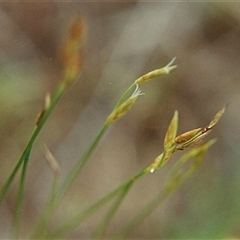 Unverified at suppressed - suppressed