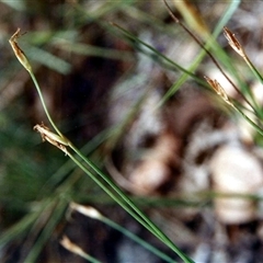 Unverified at suppressed - suppressed