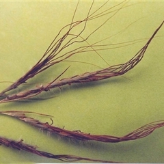 Unverified at suppressed - suppressed