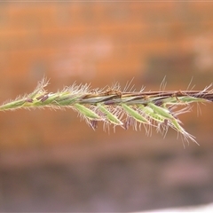 Unverified at suppressed - suppressed