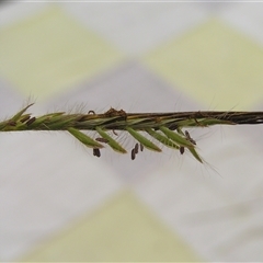 Unverified at suppressed - suppressed