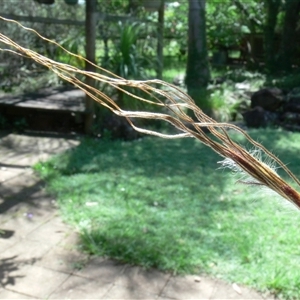 Unverified at suppressed - suppressed