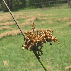 Unverified at suppressed - suppressed