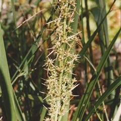 Unverified at suppressed - suppressed