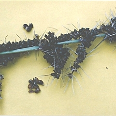 Unverified at suppressed - suppressed