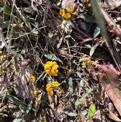 Unverified at suppressed - suppressed