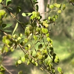 Unverified at suppressed - suppressed